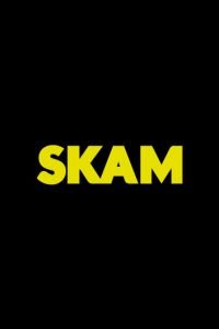 Стыд 1-4 сезон 