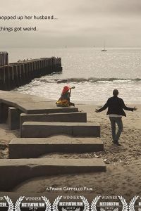   Стил и Вул (2019)